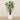 Trees-Artificial Bird of Paradise 180cm-Bloomr