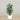 Trees-Artificial Rubber Tree 120cm-Bloomr