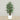 Trees-Artificial Rubber Plant 150cm-Bloomr