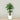 Trees-Artificial Areca Palm <br> 150cm-Bloomr