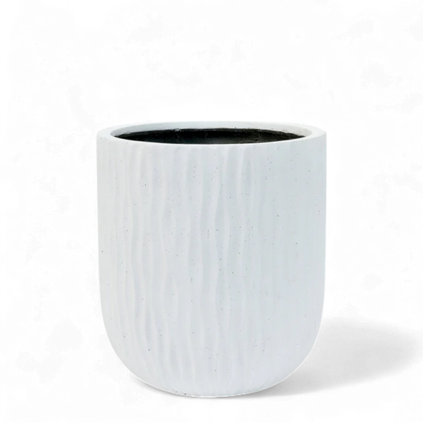 أصيص شجرة فياكونستون دائري - كبير