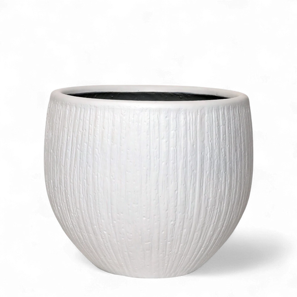 أصيص أشجار فيكونستون دائري- متوسط