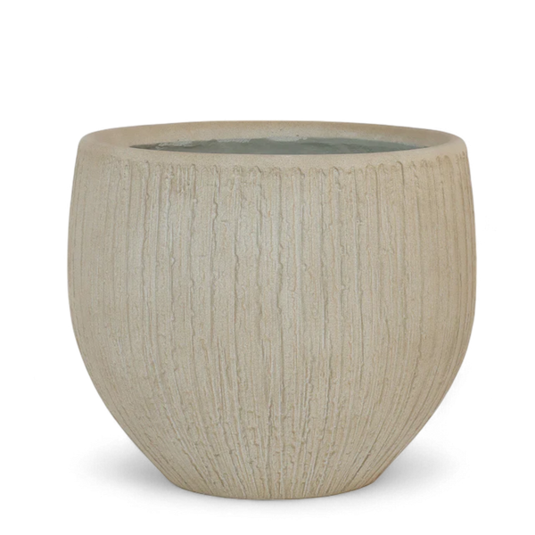 أصيص أشجار فيكونستون دائري- متوسط