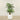 Trees-Artificial Palm Tree <br> 180cm-Bloomr