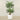 Trees-Artificial Palm Tree 210cm-Bloomr