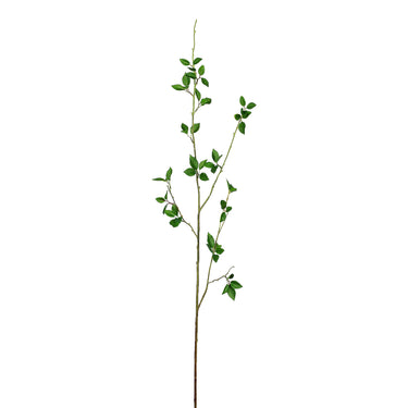 Plants-Branch Stem-Bloomr