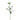 Flowers-Rose Spray-Bloomr