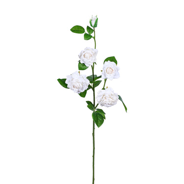 Flowers-Rose Spray-Bloomr