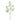 Plants-Hops Branch-Bloomr