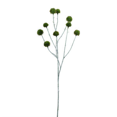 -Echinops Spray-Bloomr