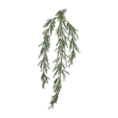 Plants-Melaleuca Bracteata Hanging Spray-Bloomr