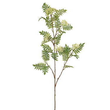 -Sorbus Spray-Bloomr