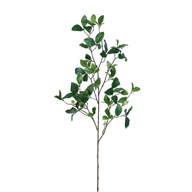 Plants-Enkianthus Leaves Spray-Bloomr