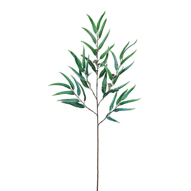 Plants-Eucalyptus Spray-Bloomr