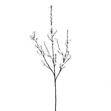 Flowers-Forsythia Spray-Bloomr
