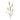 '-Pennisetum Spray-Bloomr