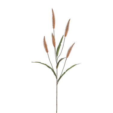 Flowers-Pennisetum Spray-Bloomr