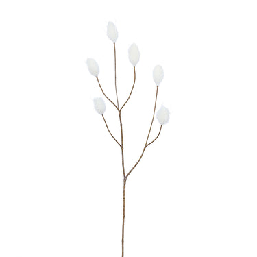 Flowers-Hare Tail Spray-Bloomr