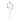 Flowers-Hare Tail Spray-Bloomr