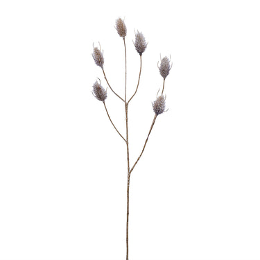 Flowers-Hare Tail Spray-Bloomr