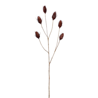 Flowers-Hare Tail Spray-Bloomr