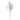 Flowers-Trifolium Angustifolium Spray-Bloomr