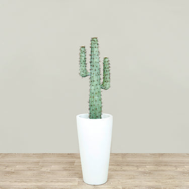 Trees-Artificial Cactus Plant 90cm|125cm-Bloomr