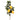 Plants-Lemon Teardrop Stem-Bloomr