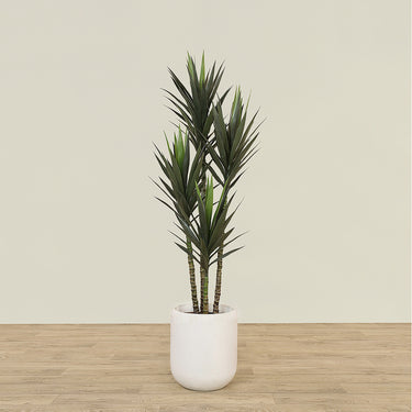 -Artificial Yucca Plant 180cm-Bloomr