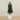 -Artificial Sweet Link Topiary Tree 170cm-Bloomr