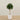-Artificial Sweet Link Topiary 120cm-Bloomr