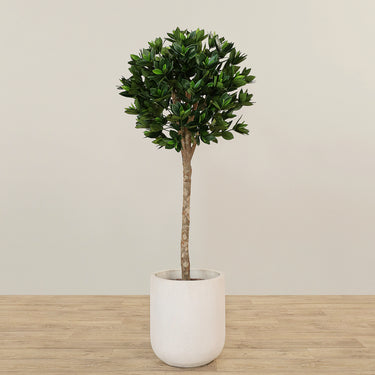 -Artificial Sweet Link Topiary 150cm-Bloomr