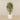 -Artificial Mini bamboo Tree 180cm-Bloomr