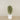 -Artificial Mini Ficus Tree 150cm-Bloomr