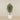 -Artificial Mini Ficus Tree 180cm-Bloomr