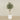 -Artificial Olive Tree 150cm-Bloomr