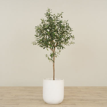 -Artificial Olive Tree 150cm-Bloomr