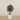 '-Artificial Olive Tree 120cm-Bloomr