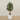 '-Artificial Olive Tree 150cm-Bloomr