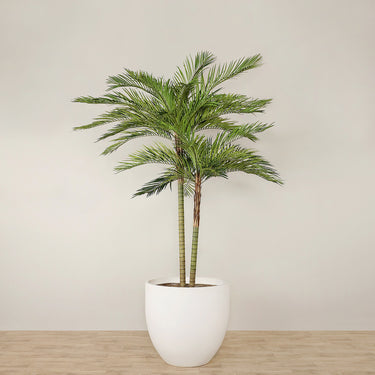 Trees-Artificial Phoenix Palm 270cm-Bloomr