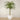 Trees-Artificial Phoenix Palm 300cm-Bloomr