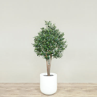 Trees-Artificial Olive Tree 150cm-Bloomr