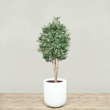 Trees-Artificial Olive Tree 180cm-Bloomr