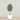 Trees-Artificial Olive Tree 180cm-Bloomr