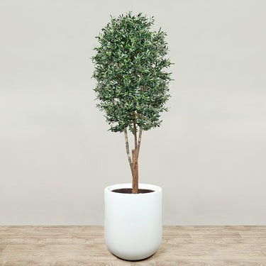 Trees-Artificial Olive Tree 240cm-Bloomr
