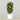-Artificial Croton Plant 150cm-Bloomr