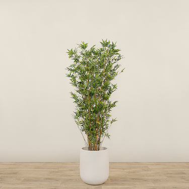 Trees-Artificial Bamboo Tree <br> 150cm-Bloomr