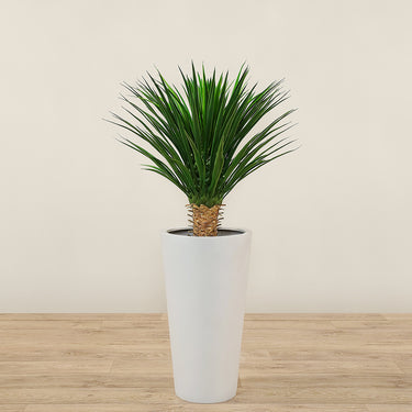 Trees-Artificial Yucca Plant 75cm-Bloomr