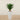 Trees-Artificial Yucca Plant 75cm-Bloomr