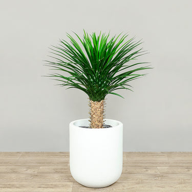 Trees-Artificial Yucca Plant 90cm-Bloomr